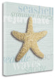 "Beach Collection II" By Tandi Venter, Giclee Print on Gallery Wrap Canvas