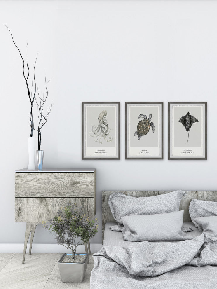 Aetobatus Narinari Triptych, 3-Piece Set, 8x12 Panels