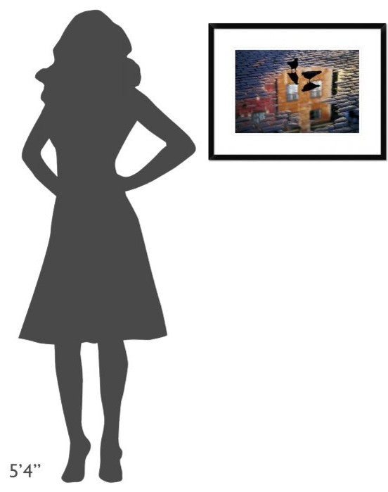 "Pigeons" Framed Digital Print by Allan Wallberg, 26"x20"