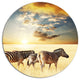 Zebras Walking In African Grassland, African Disc Metal Wall Art, 23"