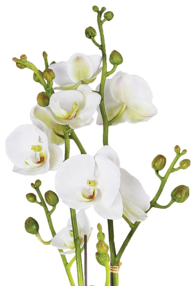 Two Stem White Phalaenopsis Orchid Faux Flower Artificial Plant Drop In