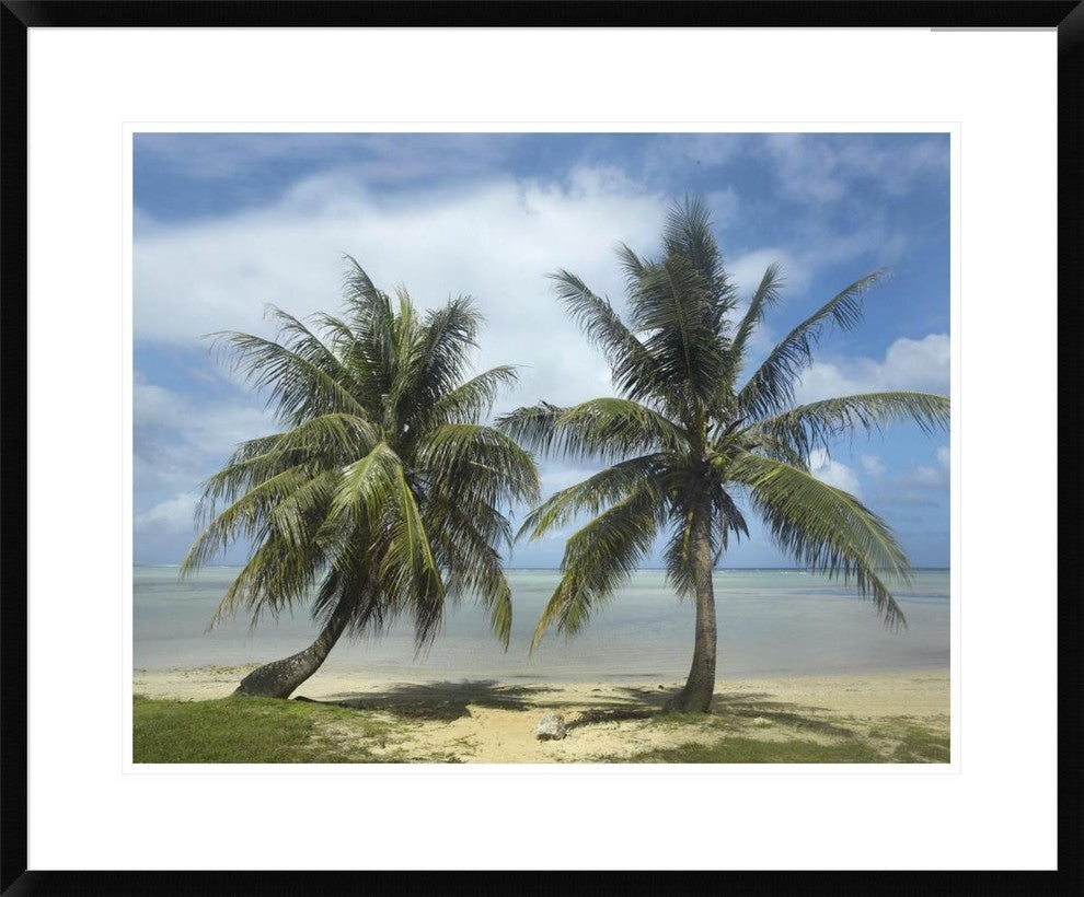 "Palm trees, Agana Beach, Guam" Framed Digital Print by Tim Fitzharris, 32x26"