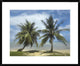 "Palm trees, Agana Beach, Guam" Framed Digital Print by Tim Fitzharris, 32x26"