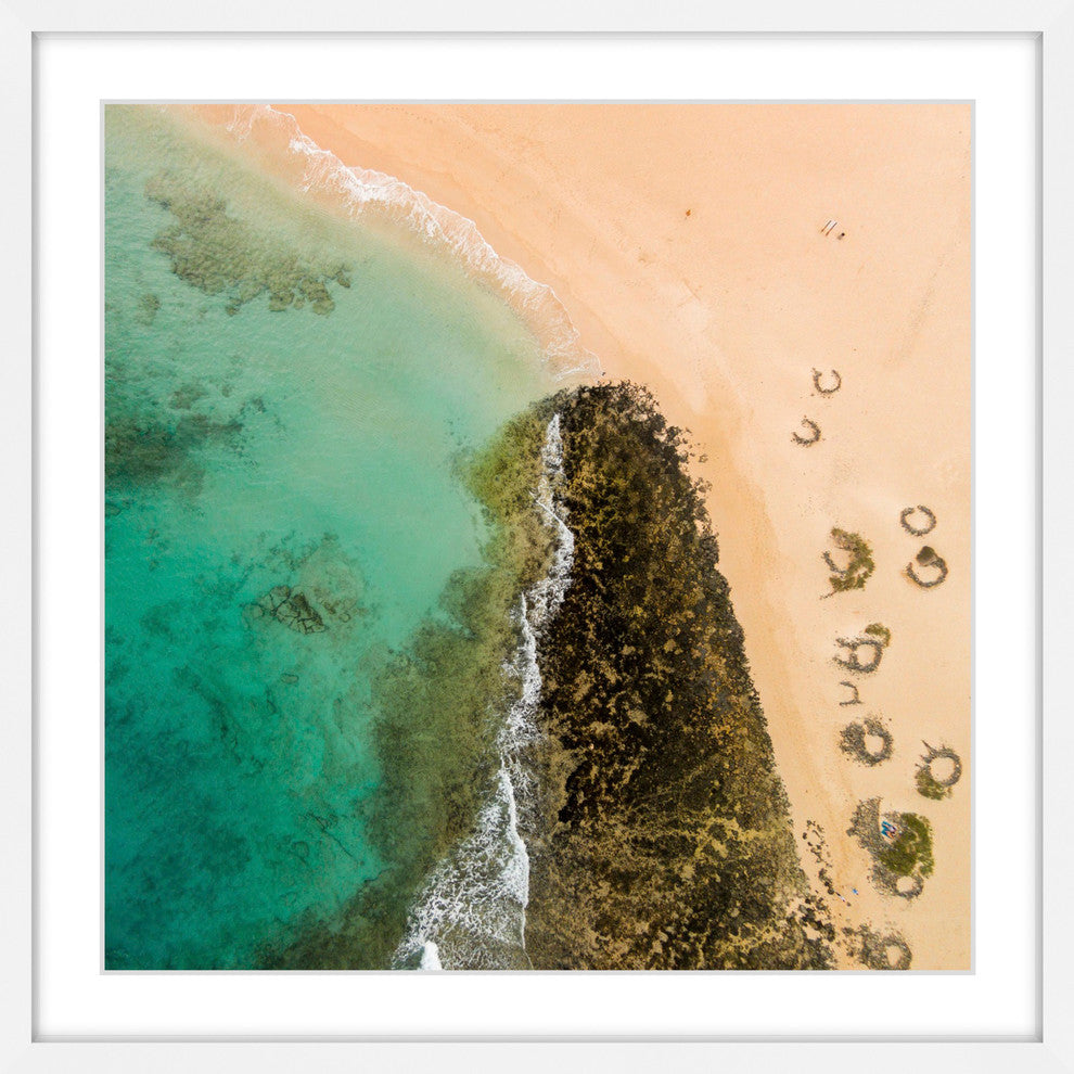 "Seaweed Trails" Framed Print by Karolis Janulis