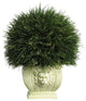 Potted Grass With White Vase, Indoor and Outdoor