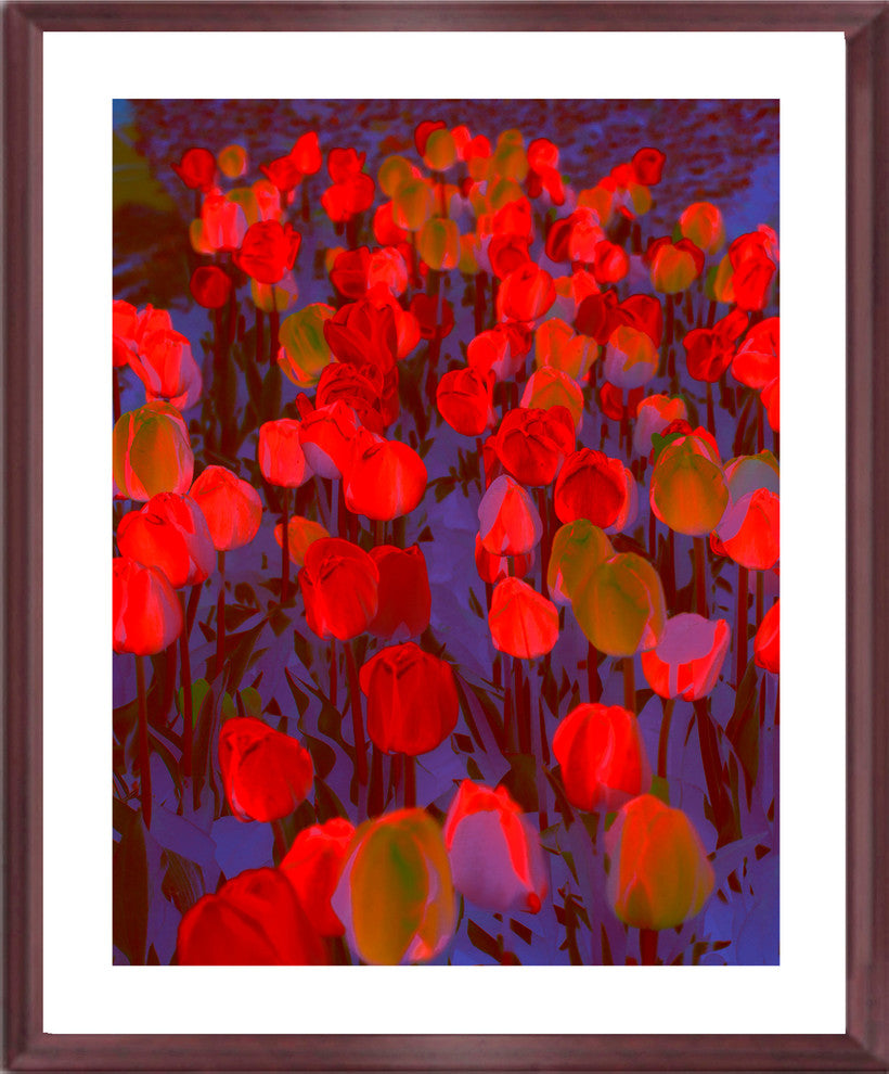 Artwork, Tulips, Surrealistic, International Award Winning Image, Framed