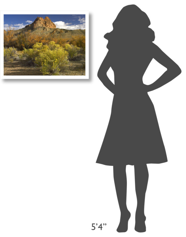 "Mitten Rock, New Mexico" Digital Paper Print by Tim Fitzharris, 26"x20"