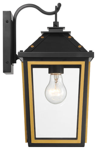 Crystorama Lighting Group HAW-601 Hawkins 14" Tall Outdoor Wall - Matte Black /