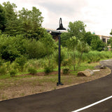 Cocoweb 8" Dahlia LED Post Light in Matte Black With 8' Tall Post