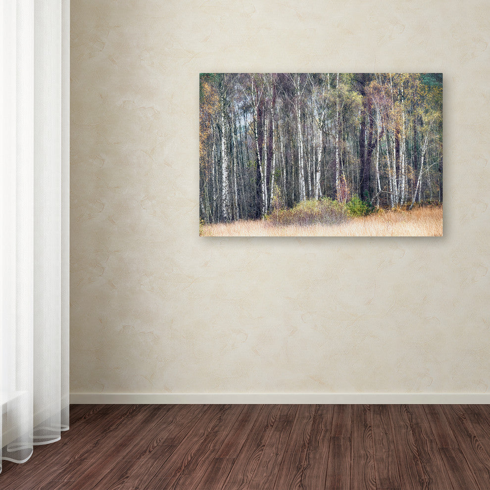 Cora Niele ''Birches'' Canvas Art