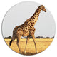 Single Giraffe In Africa Walking, African Disc Metal Wall Art, 23"