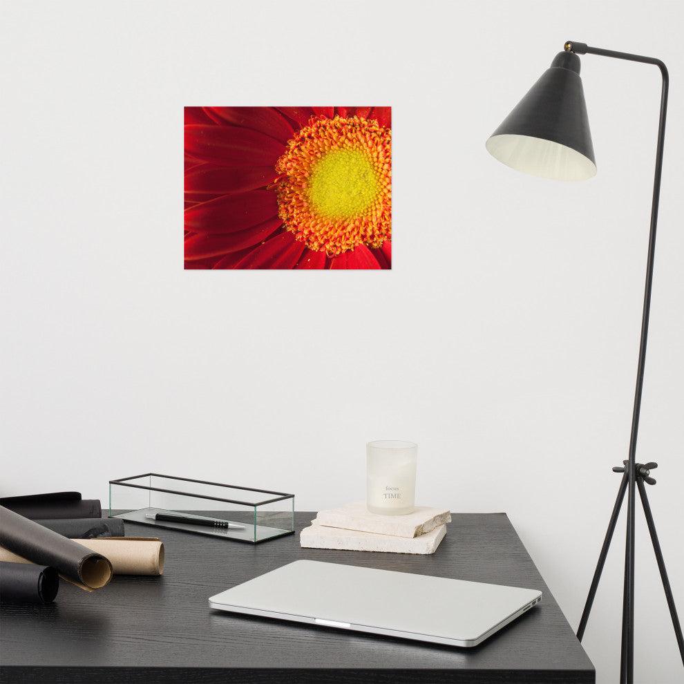 Nature's Beauty Nature Photography, Floral Unframed Wall Art Print, 11" X 14"
