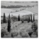 Alan Blaustein ''Tuscany VI'' Canvas Art, 14x14