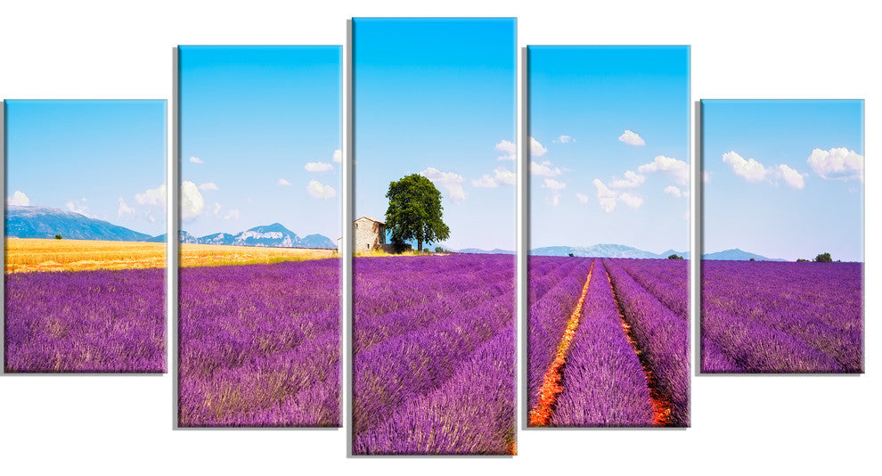 "Remote House And Tree in Lavender Field" Landscape Wall Art, 5 Panels, 60"x32"