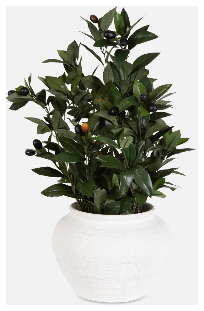 Uttermost Elena Olive Centerpiece