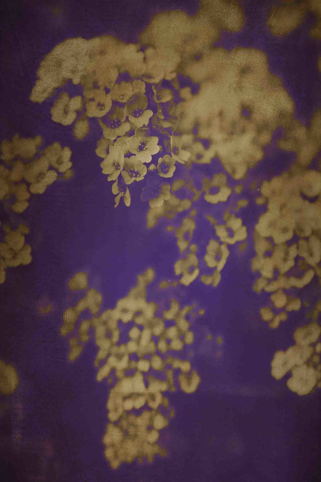 "Dawn" Painting Print on Canvas by Jorgensen
