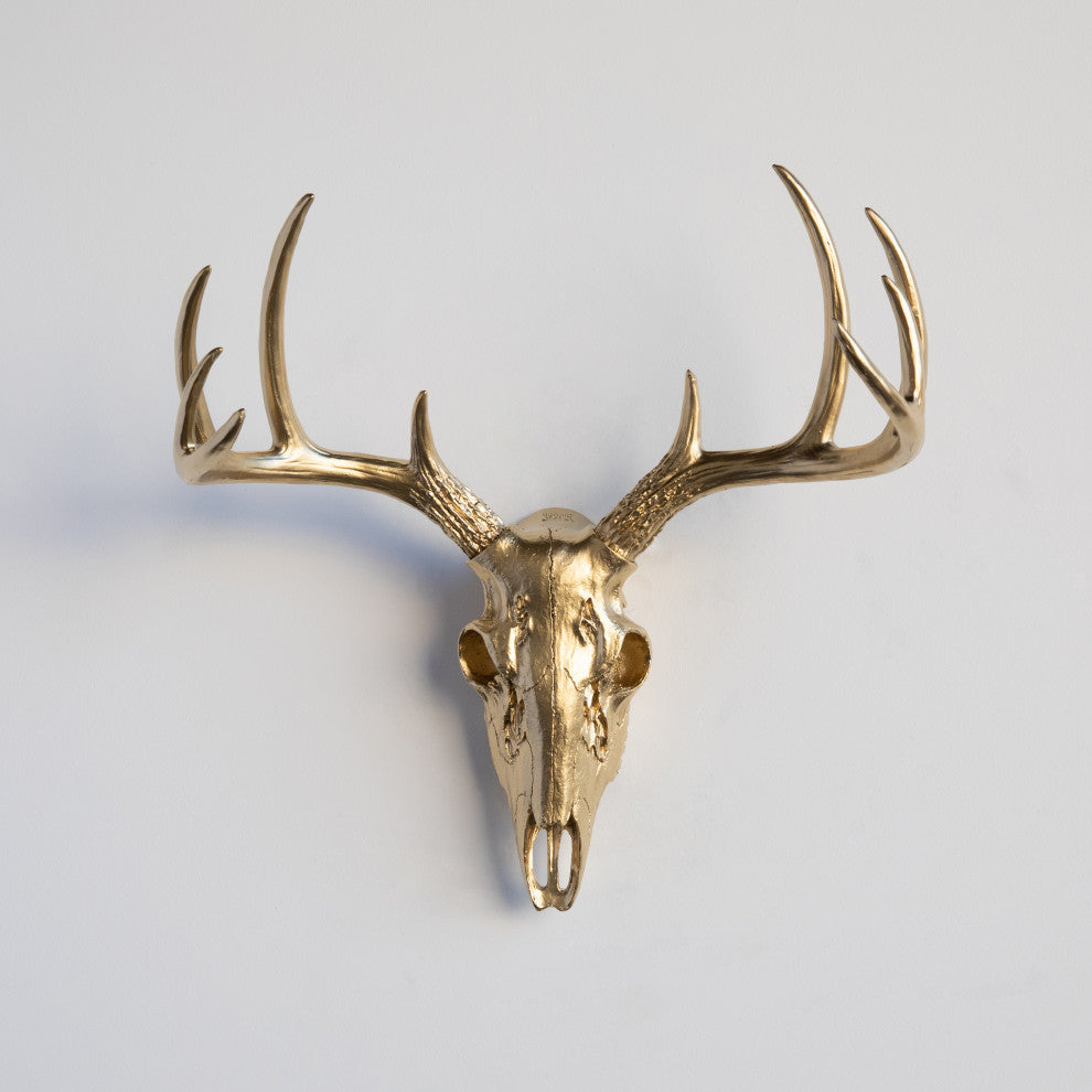 Faux White Mini Deer Skull With Natural Antlers Wall Decor, Gold, Gold