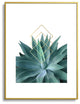 Gale Switzer Agave geometrics Metal Framed Art Print