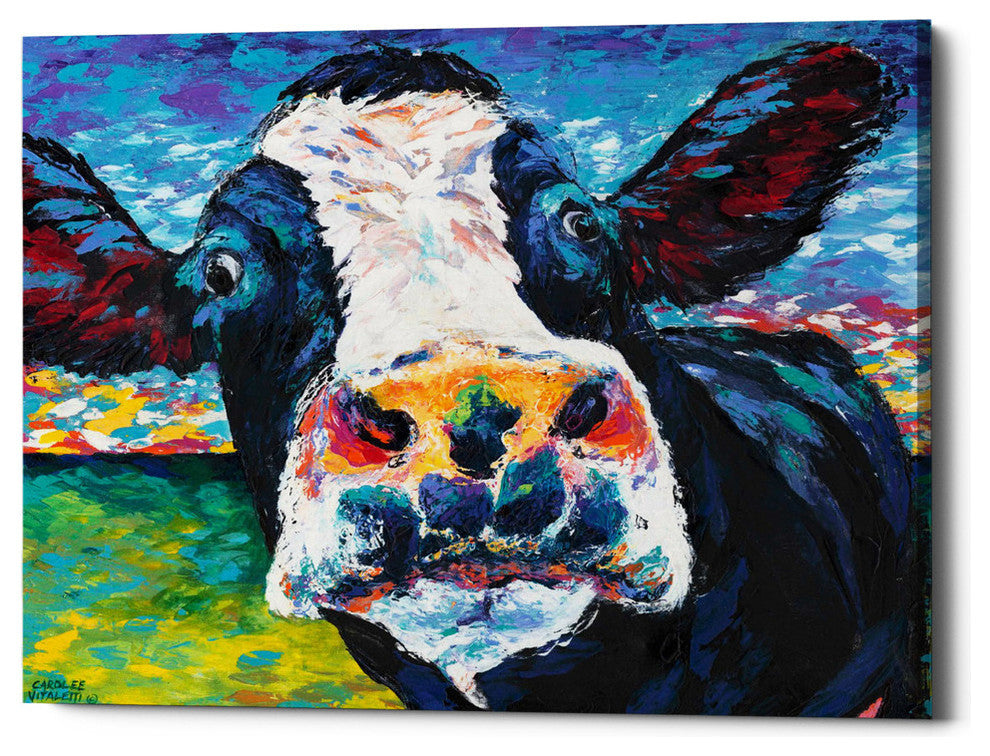 Curious Cow II' by Carolee Vitaletti Giclee Canvas Wall Art, 34"x26"