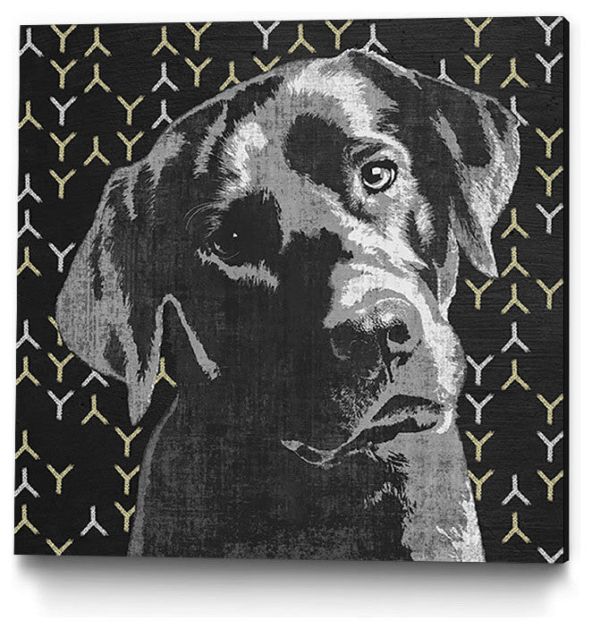 "Lab" Museum Mounted Canvas Print, 20"x20"