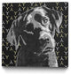 "Lab" Museum Mounted Canvas Print, 20"x20"