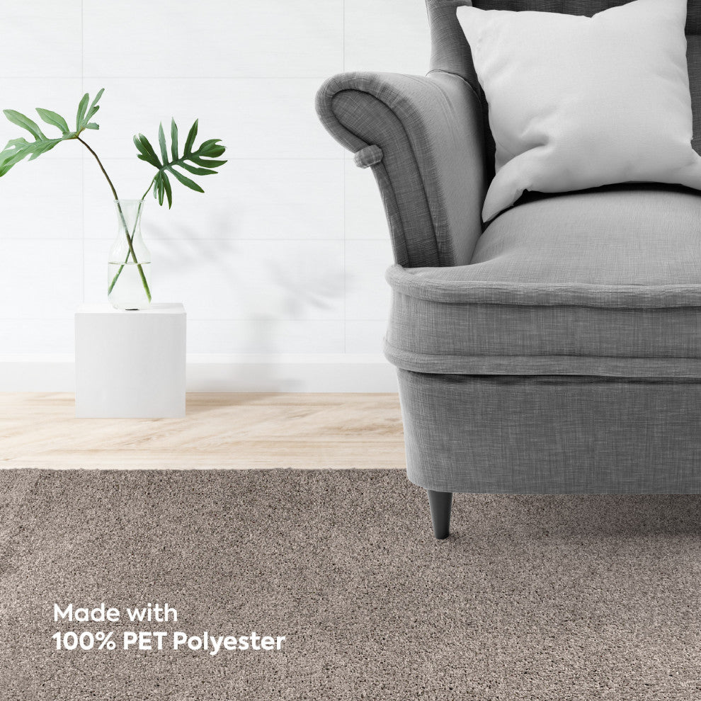 Modern Plush Solid - Pet and Kids Friendly Made in USA, Area Rug, 2' X 4'