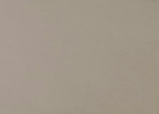 TOV Furniture Yara Pleated Beige Velvet Sofa