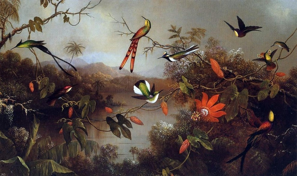 Martin Johnson Heade Tropical Landscape with Ten Hummingbirds Wrapped Canvas