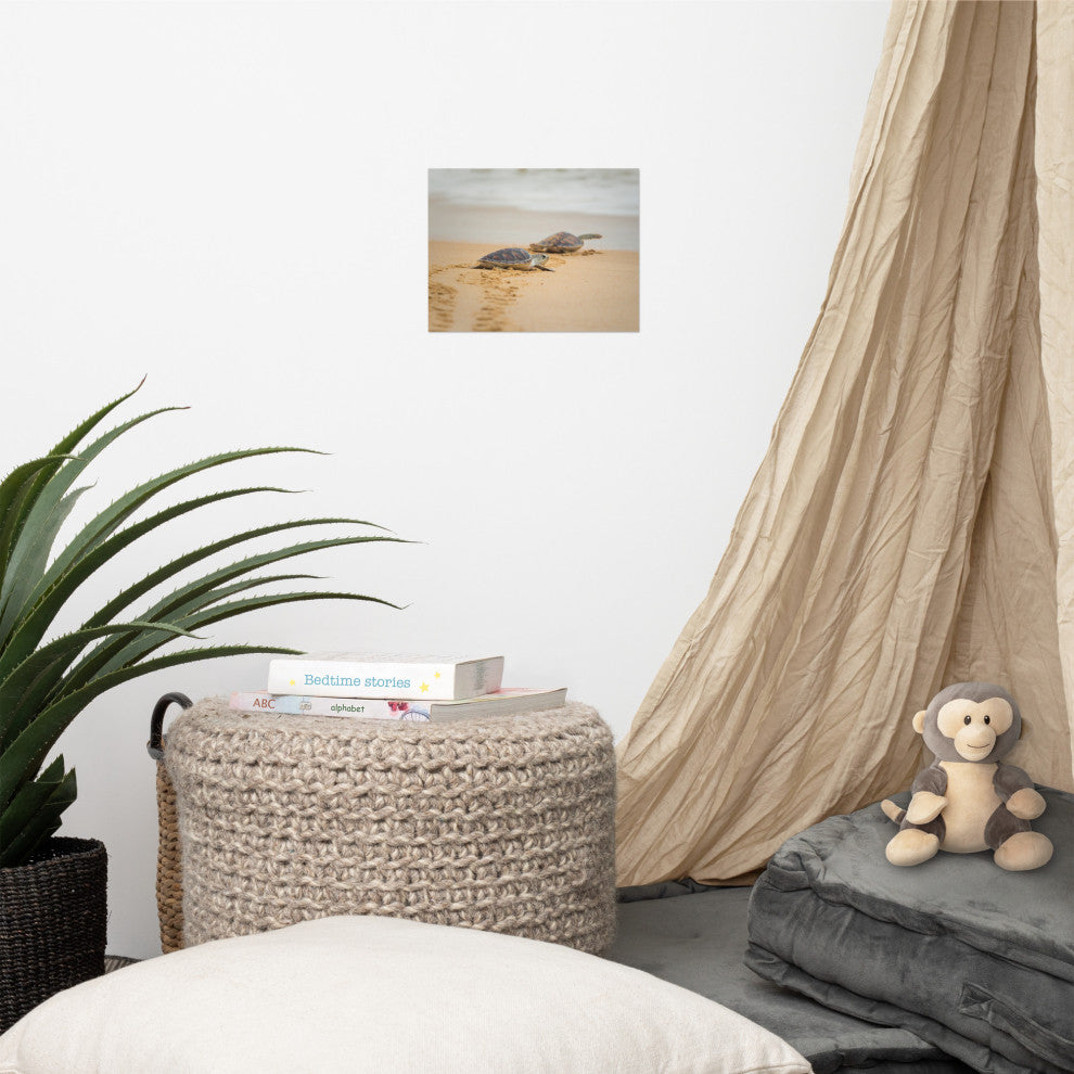 Baby Hawksbill Sea Turtle On The Beach Animal Wildlife Loose Wall Art Print, 8" X 10"