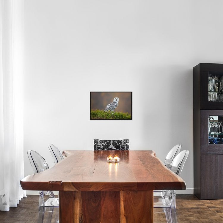 "Snowy Owl" Framed Canvas Giclee by Milan Zygmunt, 23x16"