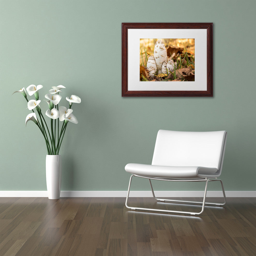 Jason Shaffer 'Autumn Mushrooms' Matted Framed Art, Wood Frame, White Mat, 14x11