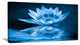 "Blue Water Lily" Floral Digital Art Canvas Print