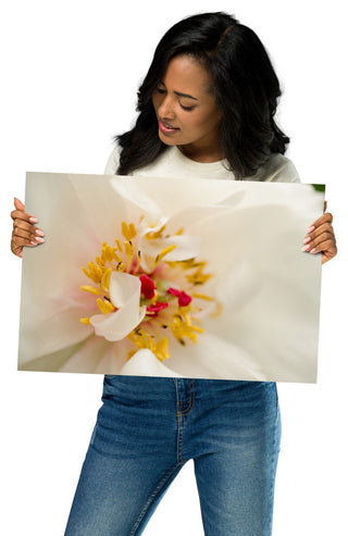 Eye of Peony Nature Photography, Floral Unframed Wall Art Print, 12" X 18"