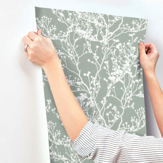 Green Budding Branch Silhouette Wallpaper