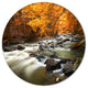 Autumn Terrai With Trees And River, Landscape Round Metal Wall Art, 23"