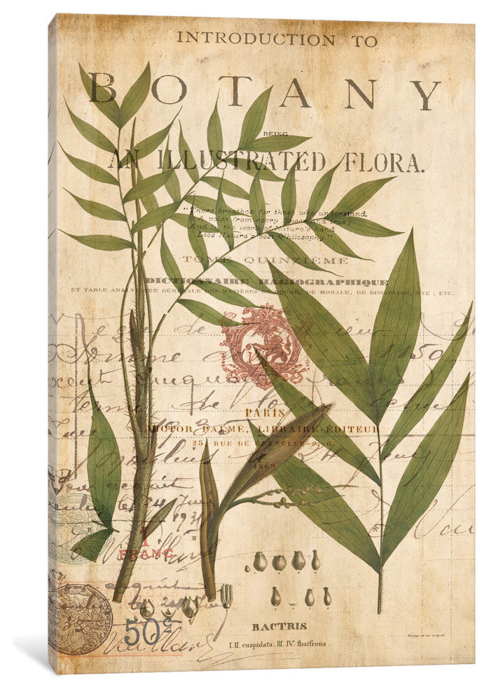 "Palm Study II" by Deborah Devellier, Canvas Print, 18"x12"