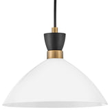 Lark 83257-CO Simon 13"W Pendant - Heritage Brass / Black