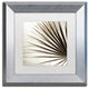 Alan Blaustein ''Florison 66'' Art, Silver Frame, White Mat, 11x11