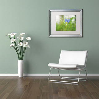 PIPA Fine Art 'Asiatic Dayflower' Matted Framed Art, 20x16