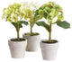 Set 12 Mini Hydrangea Faux Floral Plants in Pots Rustic Gift White Flowers