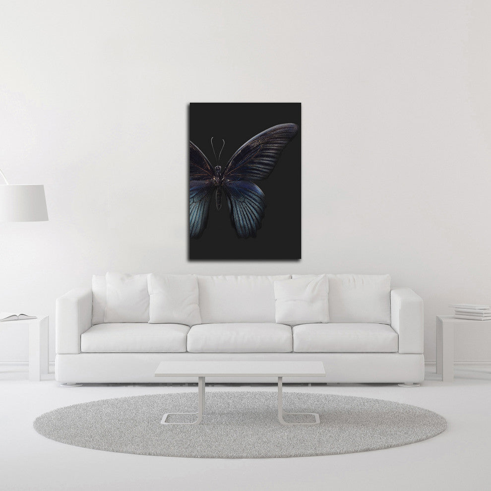 Black Butterfly on Grey by Design Fabrikken, Print on Canvas, 20" x 28"