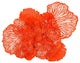 Flower Wall Art, Coral, Large