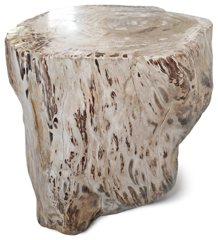 Rustic Petrified Wood Stump Stool Table