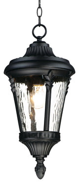 Maxim 3058 Sentry 1 Light 9"W Outdoor Mini Pendant - Black / Water Glass
