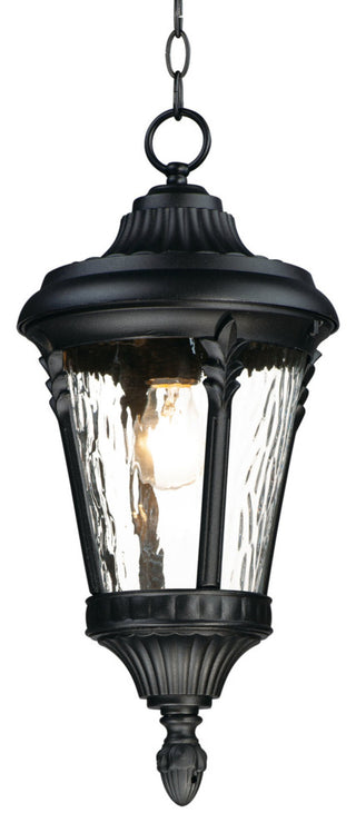 Maxim 3058 Sentry 1 Light 9"W Outdoor Mini Pendant - Black / Water Glass