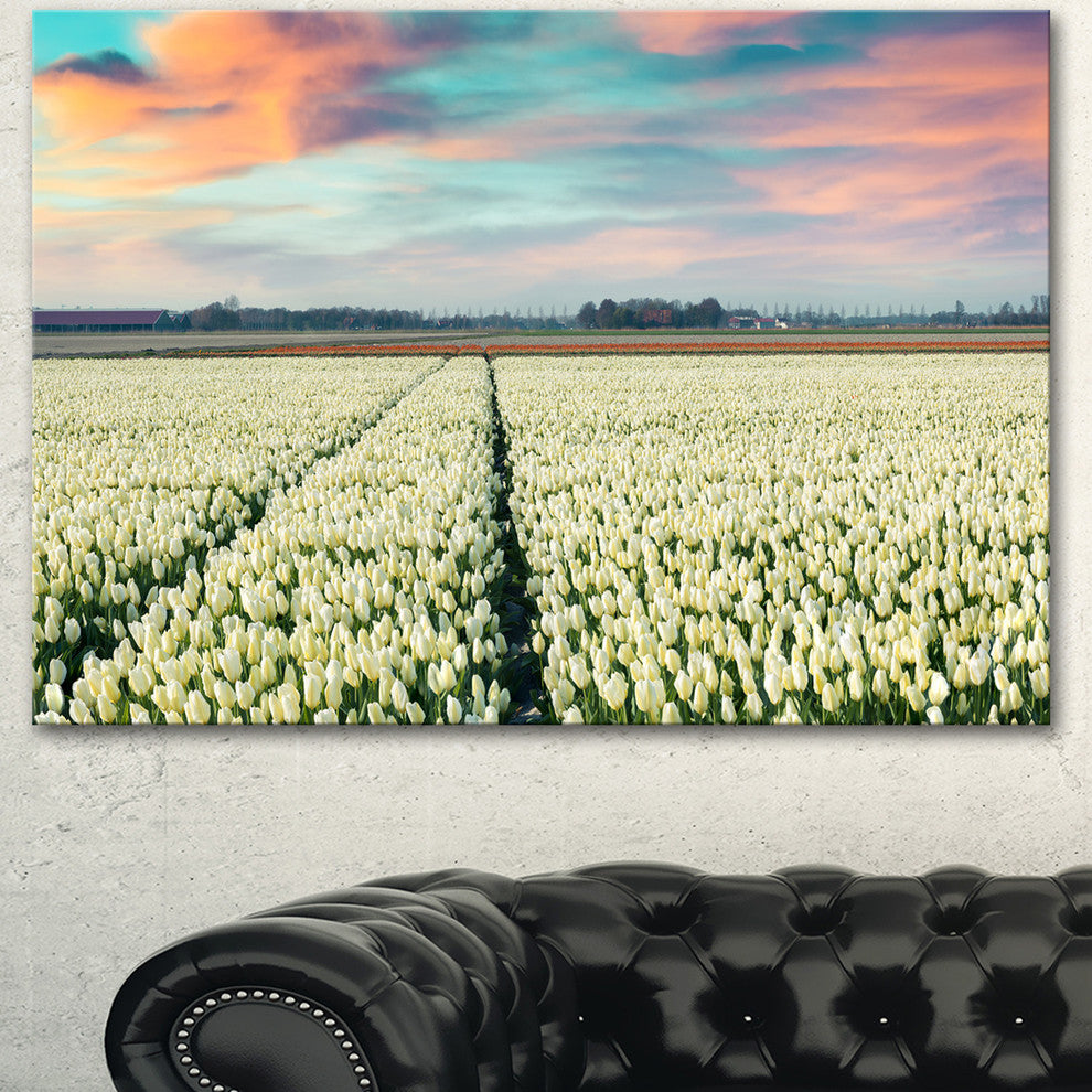 Morning in Tulip Farm Near Espel Village, Large Landscape Canvas Art, 60"x28"