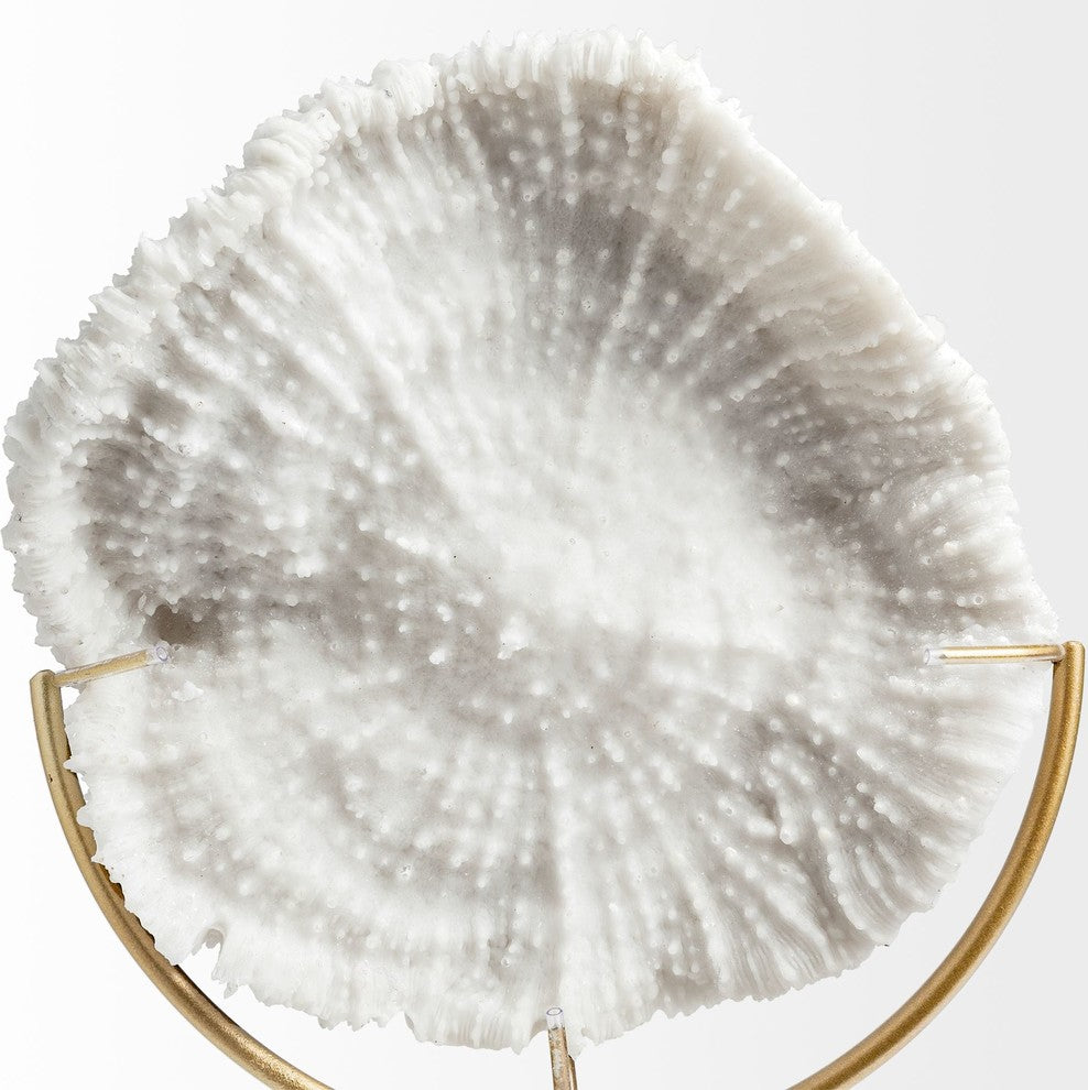 Sandy II, Medium 6"x3" White Coastal Sand Dollar Object, Small