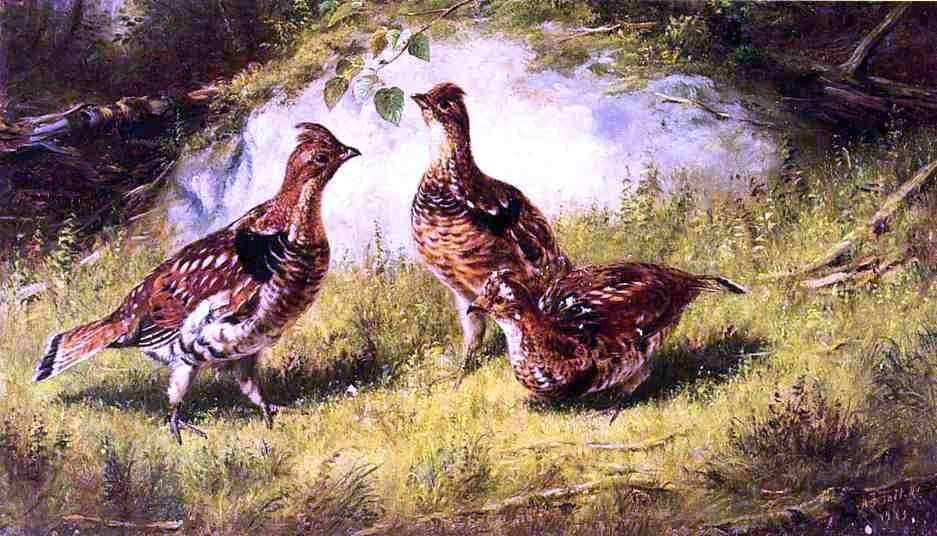 Arthur Fitzwilliam Tait Ruffed Grouse, 18"x27" Wall Decal