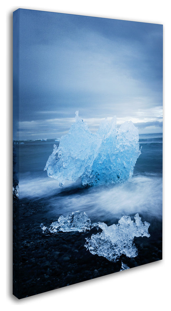 Philippe Sainte-Laudy 'Ice Jewelry' Canvas Art