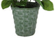 13" Tall artificial potted rose, plant with Geenery, Red